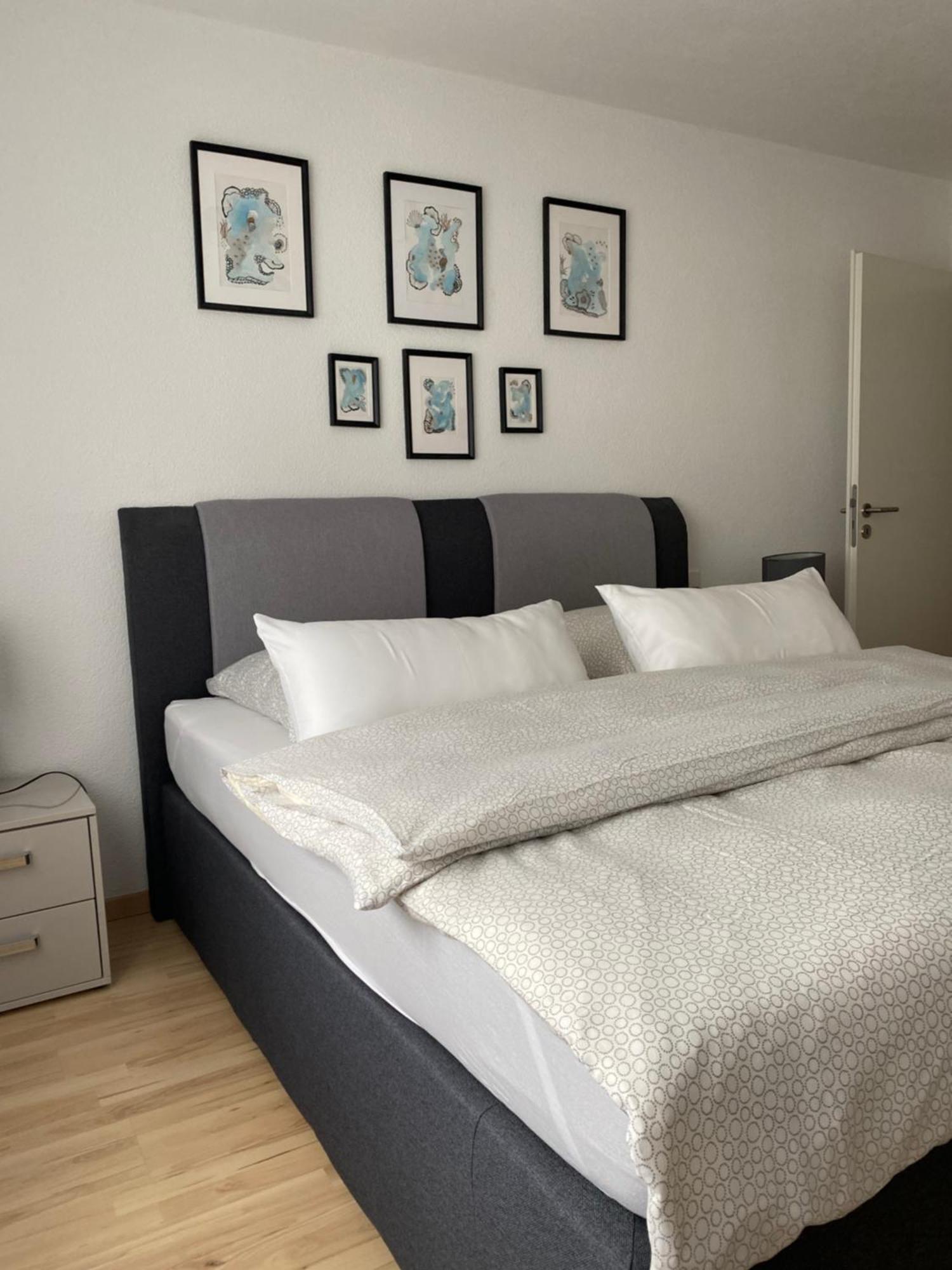 Gemuetliches City Apartment 腓特烈港 外观 照片